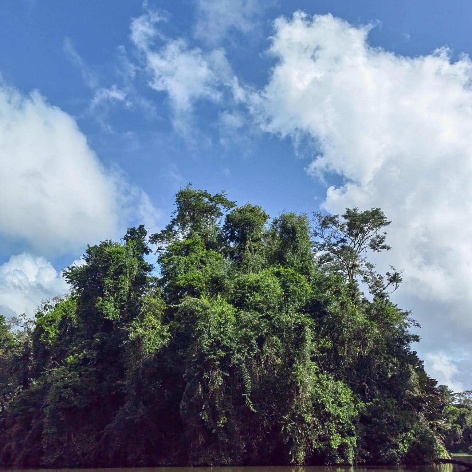 Tortuguero Villas Exterior photo