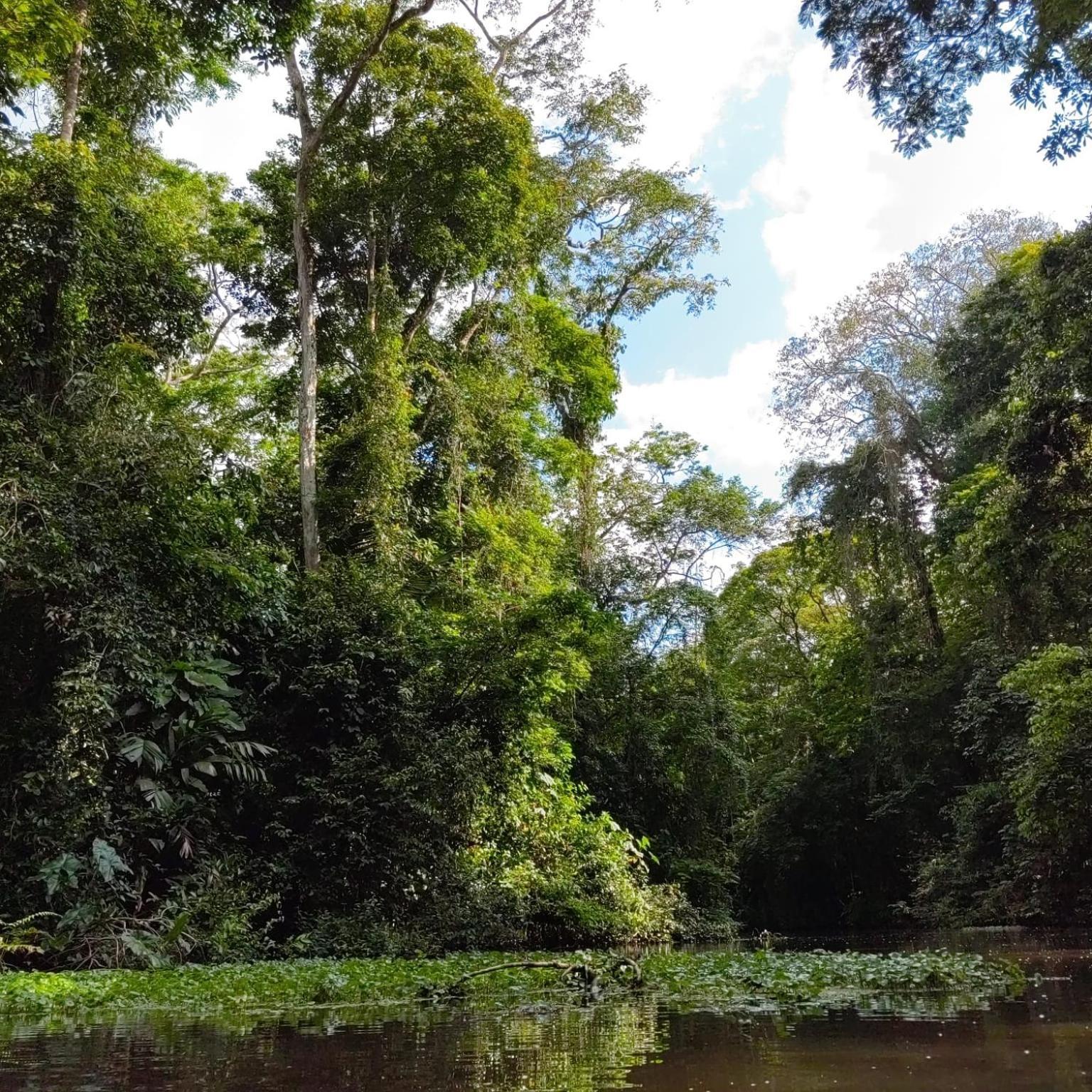 Tortuguero Villas Exterior photo