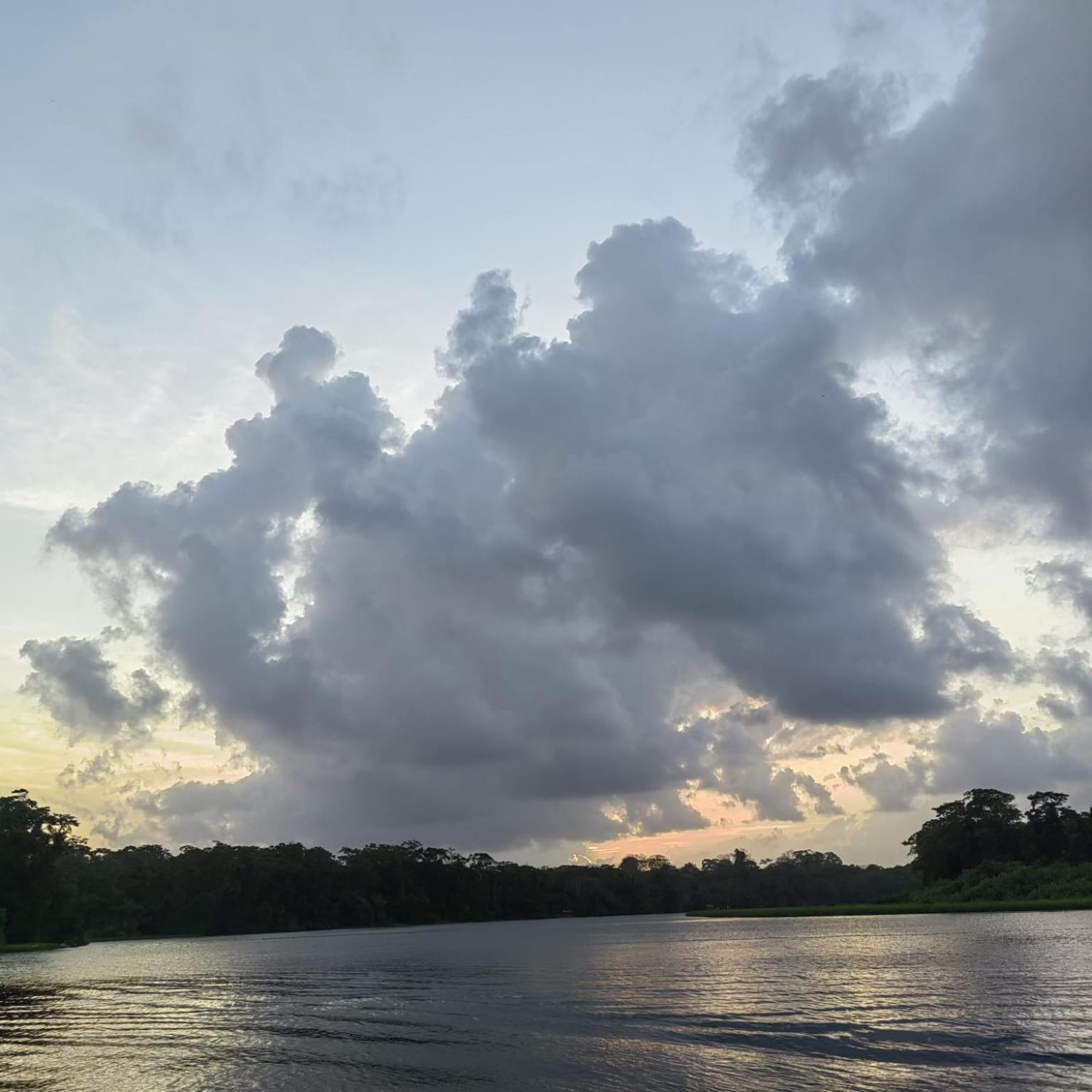 Tortuguero Villas Exterior photo