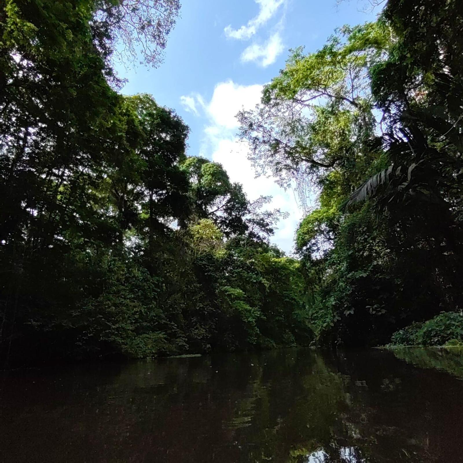 Tortuguero Villas Exterior photo